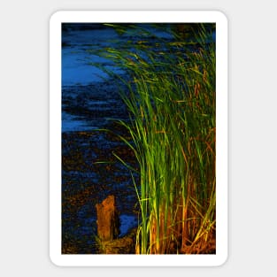 Reeds & Rushes Sticker